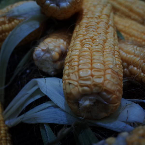 医生提醒不想尿酸飙升 建议多吃这5物 医生提醒不想尿酸飙升 建议多吃这5物