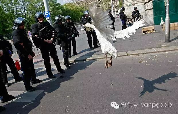 �����е�ս���� ���ô�����ײе�ʱ����