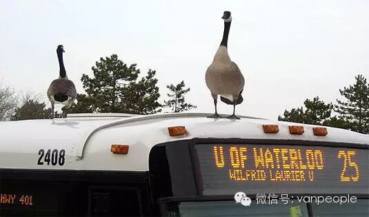 �����е�ս���� ���ô�����ײе�ʱ����