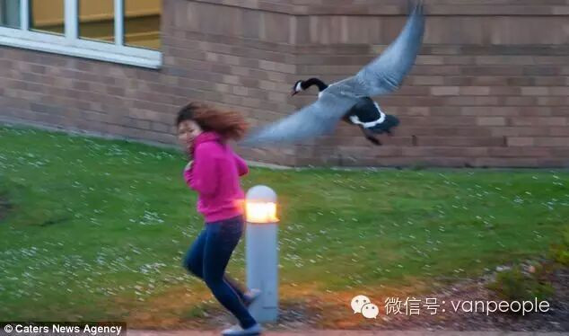 �����е�ս���� ���ô�����ײе�ʱ����