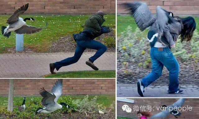 �����е�ս���� ���ô�����ײе�ʱ����