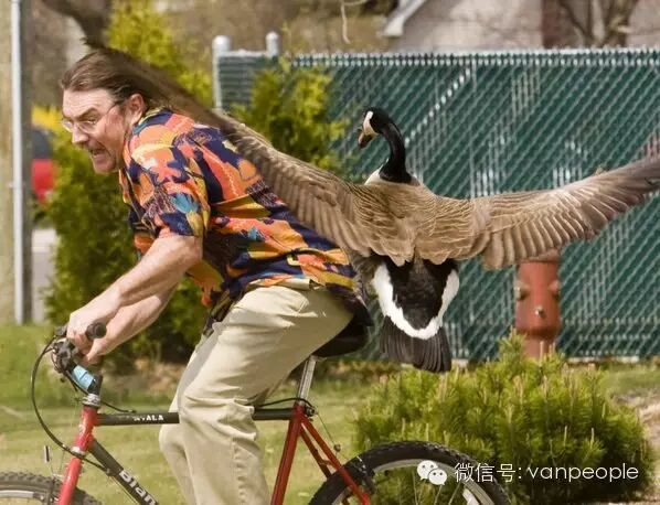 �����е�ս���� ���ô�����ײе�ʱ����