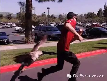 �����е�ս���� ���ô�����ײе�ʱ����