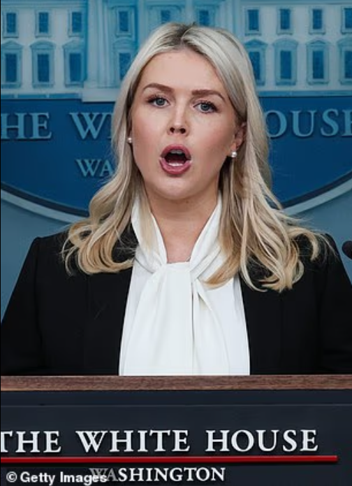 ���������⣬����Ů������ŭ��CNNŮ����