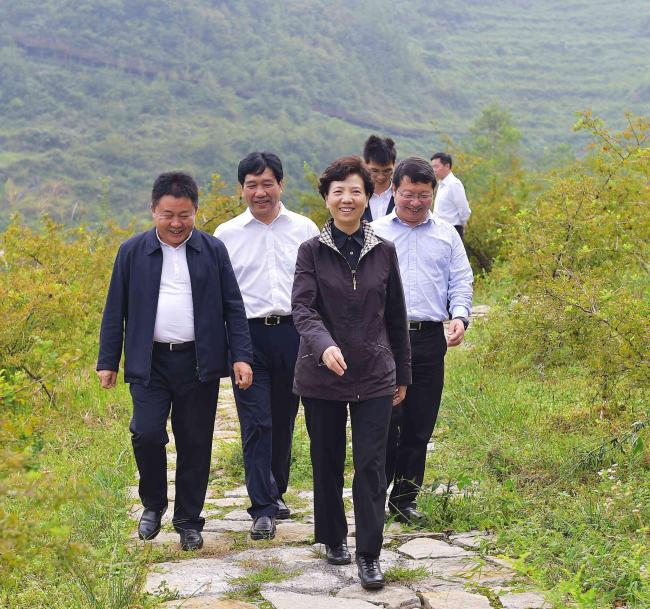 ��ǿ��12������  �������ܻ�Ծ  ��ֽ������