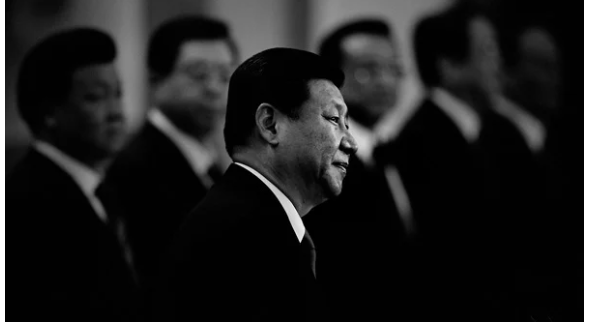 ����������Ƶ�贫��ϰ��ƽ����ն�ף�