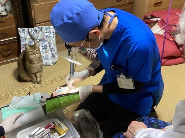 看诊被“猫家属”全程盯着 照片吸250万次浏览