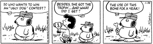 ����������   �뵱��