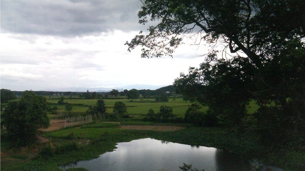 �����й涨  ��������Ⱥ