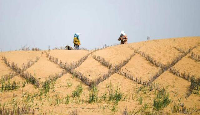 “反人类操作”，中国即将消灭第二个沙漠