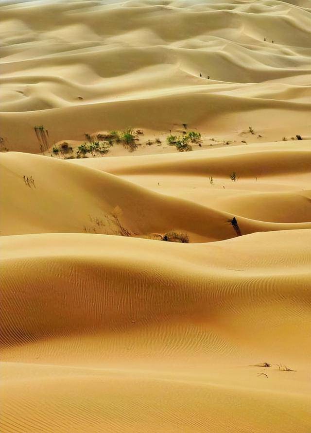 “反人类操作”，中国即将消灭第二个沙漠