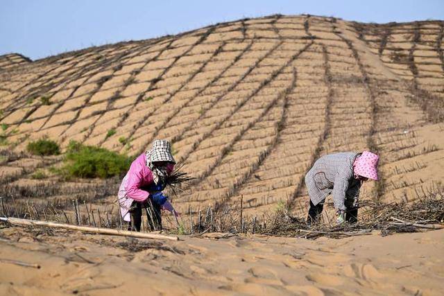 “反人类操作”，中国即将消灭第二个沙漠