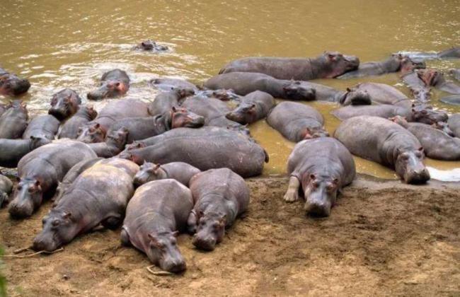 ������������������ʷʫ������