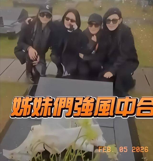 �ѹִ�Sȥ���������𻯣�СS�Ϲ���������