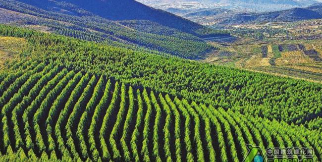 �й�ֲ������ȫ���һ  Ϊɶ��Ҫ��������