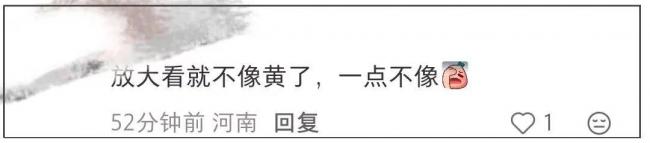 48岁黄晓明偶像包袱好重 跑步穿增高鞋戴假发片