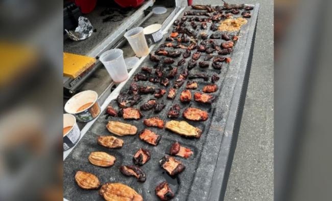 ���ô��˷Ƿ��̺��α�ץ��������1.1��