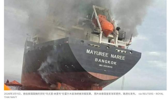 ��ս��Ҫ���죡5000������������ľ�Ⱥ�Ͽ