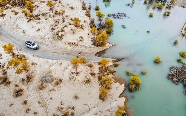 一张生态王牌：中国塔里木盆地下的惊人秘密
