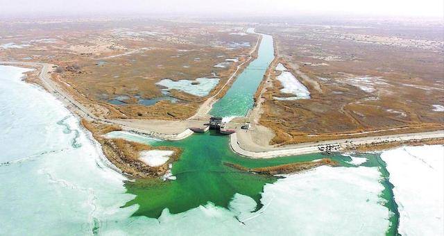 一张生态王牌：中国塔里木盆地下的惊人秘密