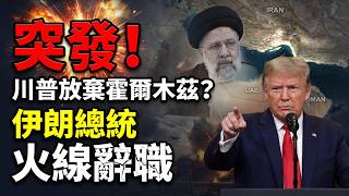 �ش���������շŻ�������ľ�Ⱥ�Ͽ��������