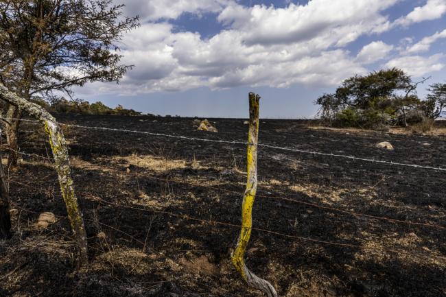 一名美国公民接掌了墨西哥头号贩毒集团