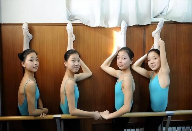 ɽ���İ�̥��������ࡱ����ʧ�ܣ����������