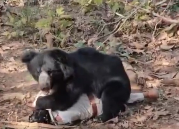 ���ӱ�ҧ��  ��������Ҳ���� ���Ϸ贫