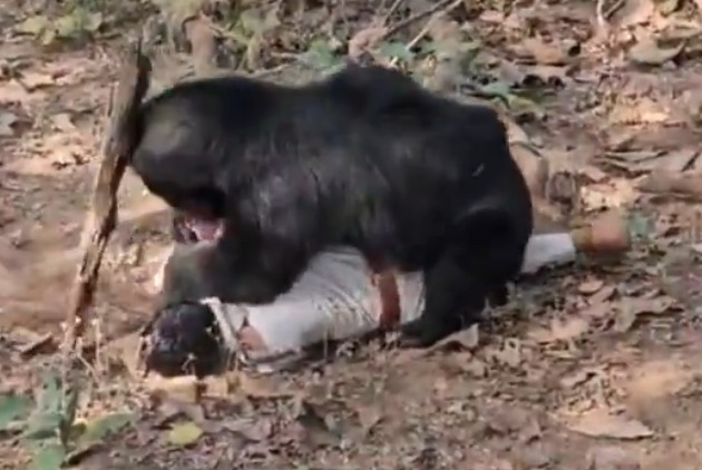 ���ӱ�ҧ��  ��������Ҳ���� ���Ϸ贫