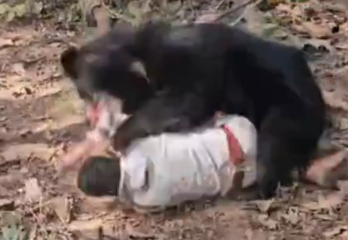 ���ӱ�ҧ��  ��������Ҳ���� ���Ϸ贫