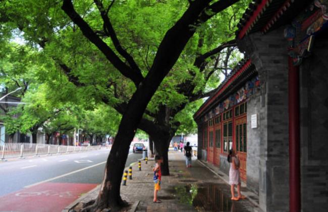 法新社:川普深陷中东乱局 可能正中习近平下怀 法新社:川普深陷中东乱局 可能正中习近平下怀