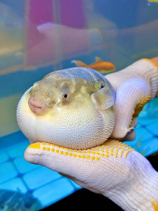 ����120��û�ã��⼸�֡���ʳ�����綾�޽�ҩ