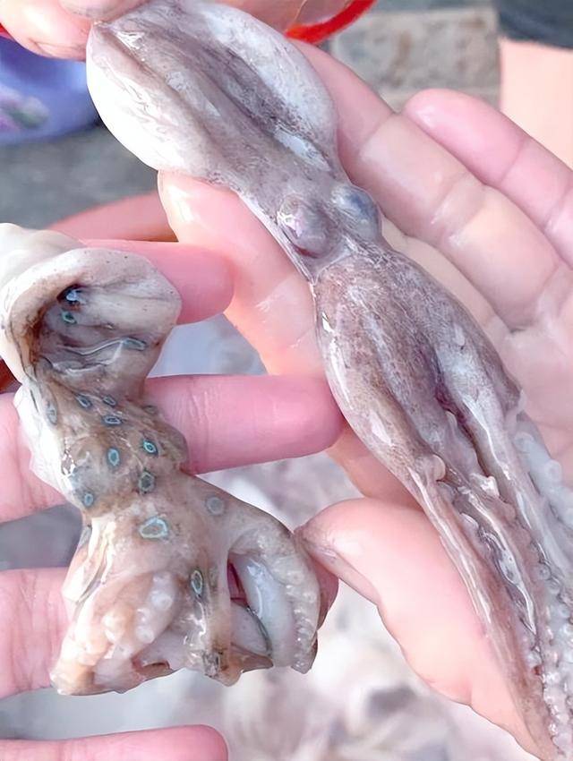 ����120��û�ã��⼸�֡���ʳ�����綾�޽�ҩ