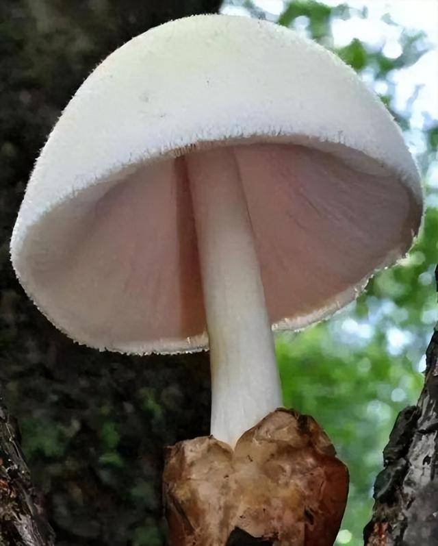 ����120��û�ã��⼸�֡���ʳ�����綾�޽�ҩ