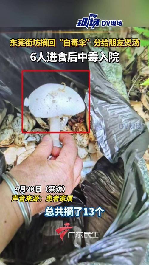 ����120��û�ã��⼸�֡���ʳ�����綾�޽�ҩ