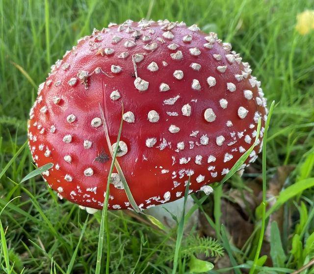 ����120��û�ã��⼸�֡���ʳ�����綾�޽�ҩ