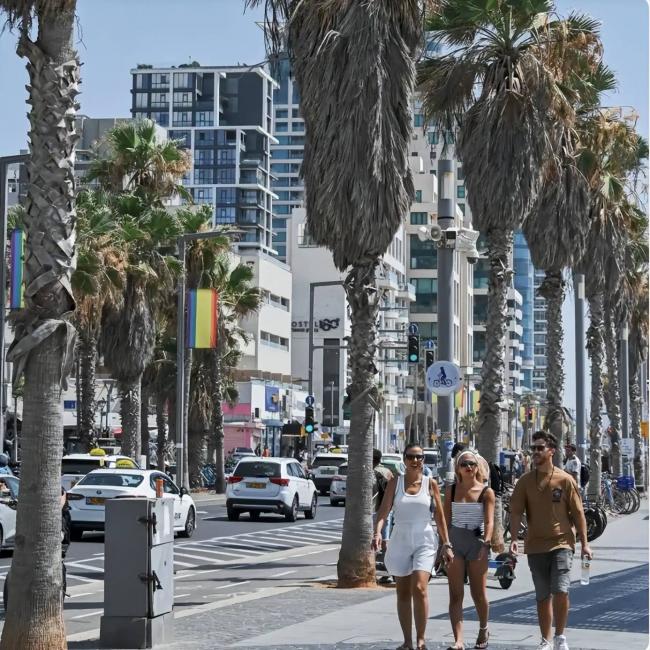 �뿪��������ȥ����ɫ�У����׿�����̫�˱���