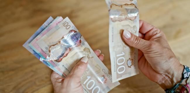 73%支持!加拿大OAS或迎大调整 73%支持!加拿大OAS或迎大调整