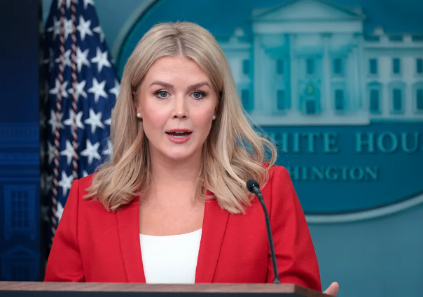 �׹����棺�����ʲ�����Э�� ����������ʽ���