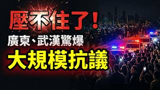 ��Ƶ�贫���㶫���人����  ŭ��ȼ���й�