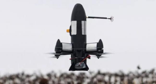 乌克兰的麦田正被变成化学定时炸弹