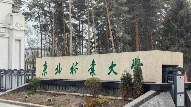 中国面积最大的3所大学 第一名相当于86个清华