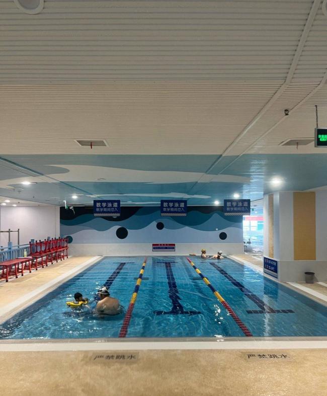 巴黎奥运冠军、“中国飞鱼”潘展乐跌落云端