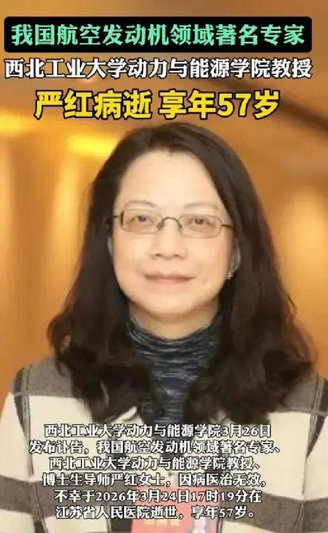 ������ û�Ϲ��������� ȴ�ü�-20�������˹���