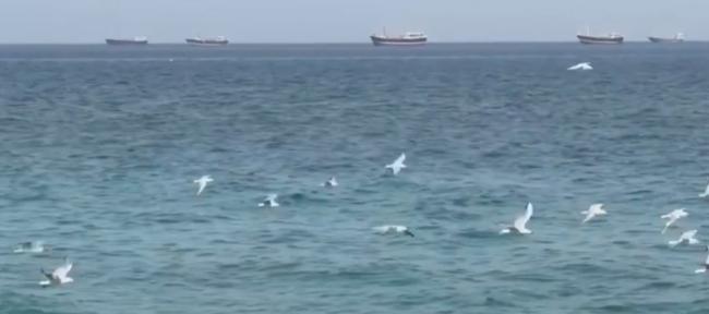 ����֤ʵ���ʱ�����仨��ˮ  ����̸�����