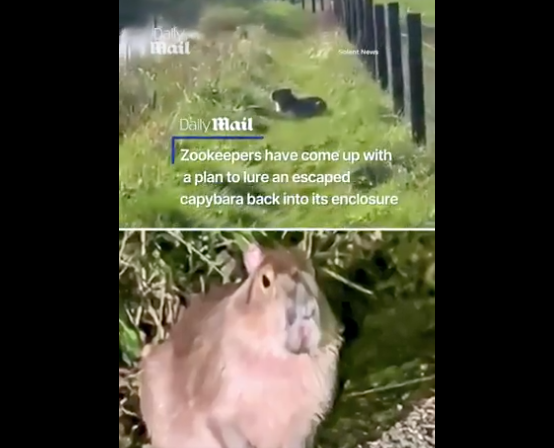 �Ȼ���ˮ��Ӷ���԰���� ����Ѿ� ���������ڡ�