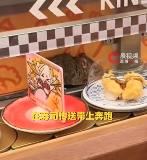 �ֲ������ݻ�ת��˾�꾪���������ڴ��ʹ����ܡ�