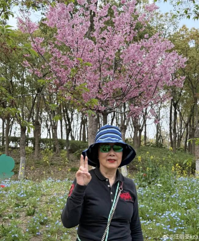 78岁汪明荃回上海祭祖 罗家英打扮年轻 78岁汪明荃回上海祭祖 罗家英打扮年轻