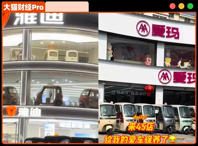 ȫ���Ҿ֣�С��¿�������ͨ�