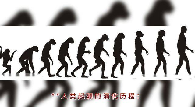 �廪����ʹ���������й��������ֻ�ǰ����